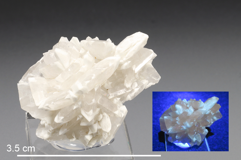 Baryte (NL) - fluorescent